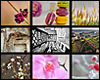 <br />* CAPTURE D'INSTANTS�