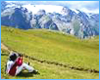<br />% NATURE & LIBERTE