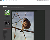<br />* UN REGARD SUR LA NATURE