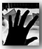PP / Int�rieur
